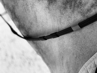 Martingales & Reins