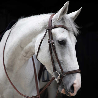 Antares Orgin  Bridle with drop noseband