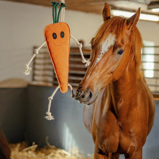 Horse Toy carrot