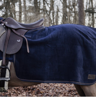 Kentucky quarter rug