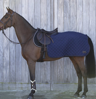 Kentucky quarter rug