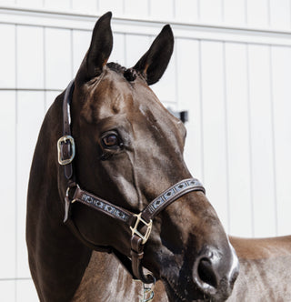 Kentucky head collar pearl